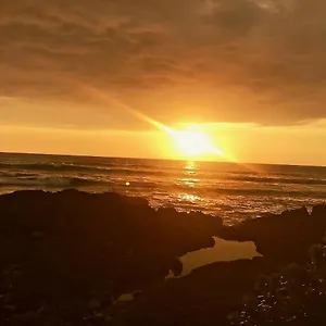 Unwind On Your Fantasy Hawaiian Vacation- 1bd/1ba In Kailua-kona, Hawaii Apartment Kailua-Kona